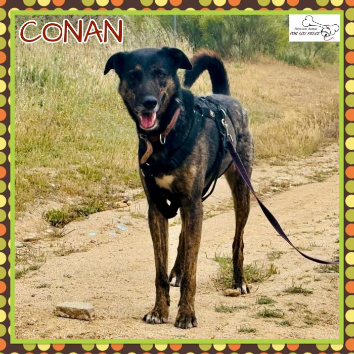 Conan