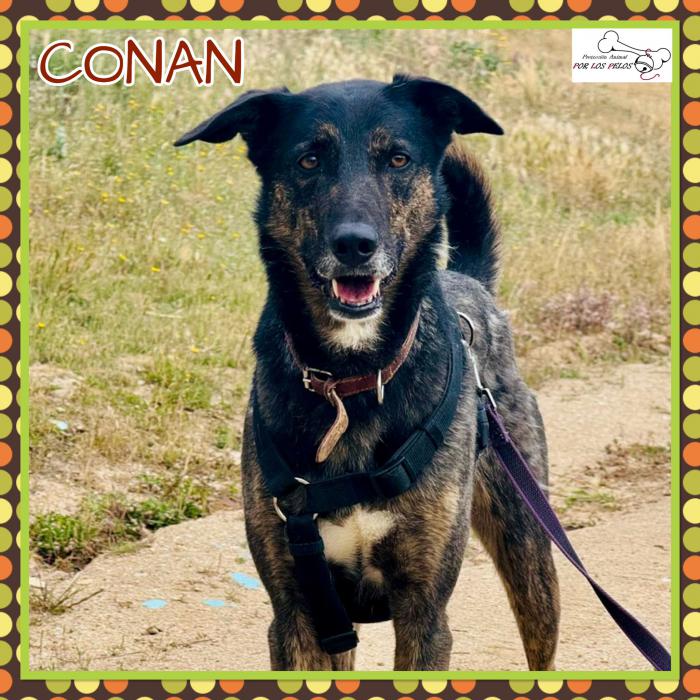 Conan