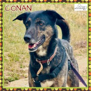 Conan