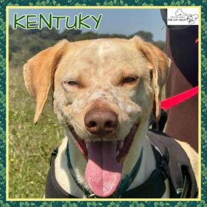 Kentuky