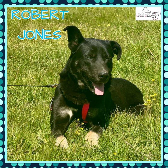 Robert Jones