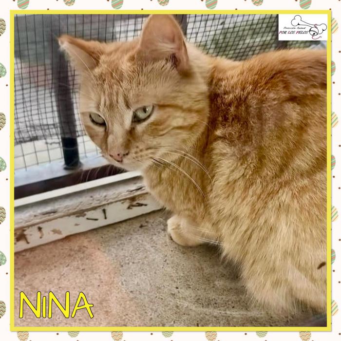 Nina