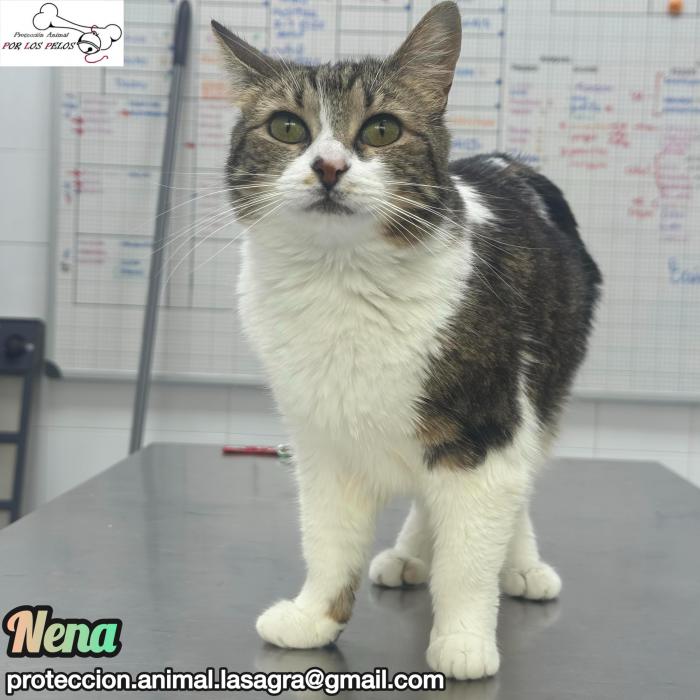 Nena