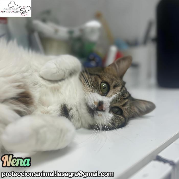Nena
