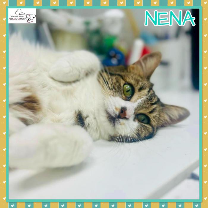 Nena