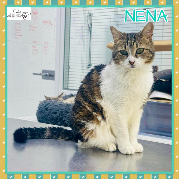 Nena