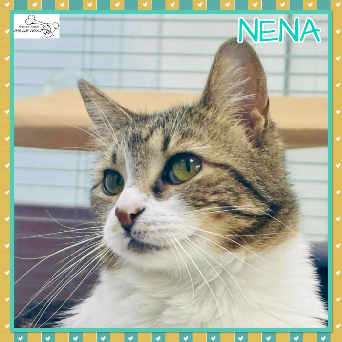 Nena