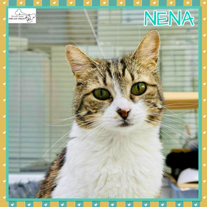 Nena