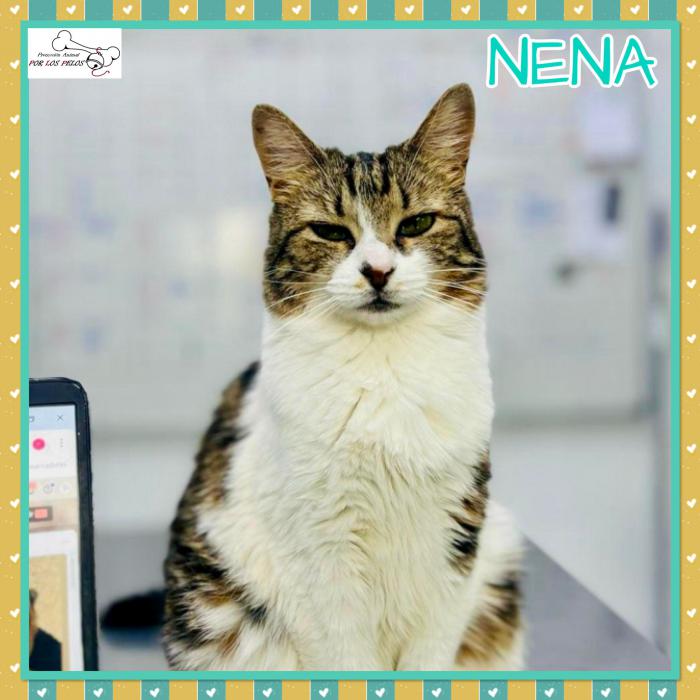 Nena