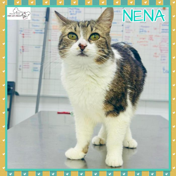 Nena