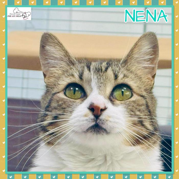 Nena