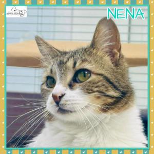 Nena