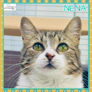 Nena