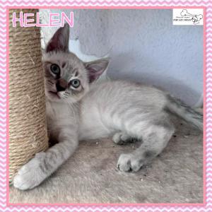 Helen