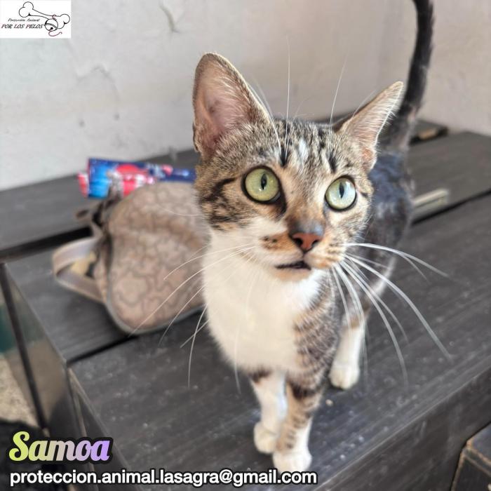 Samoa