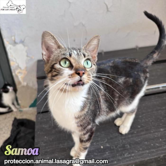 Samoa