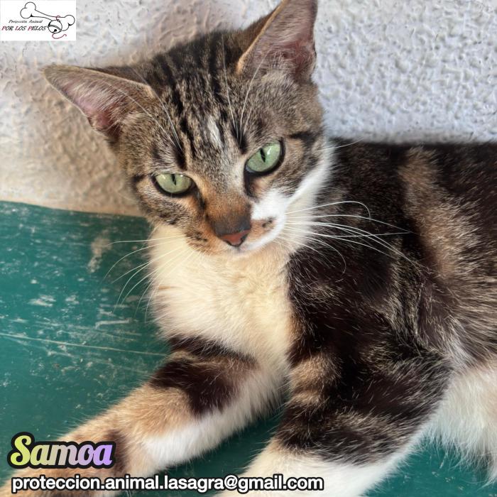 Samoa