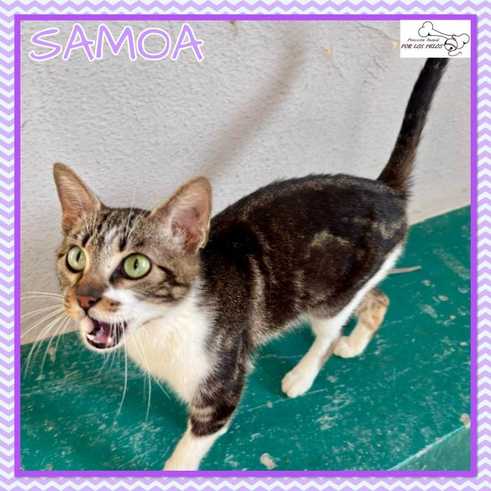 Samoa