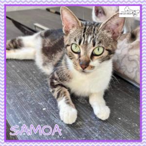Samoa