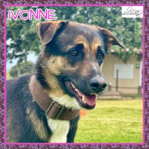 Ivonne