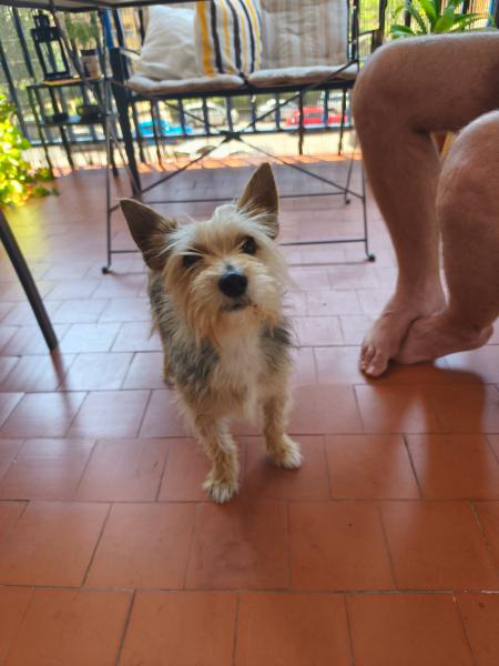 Monchito