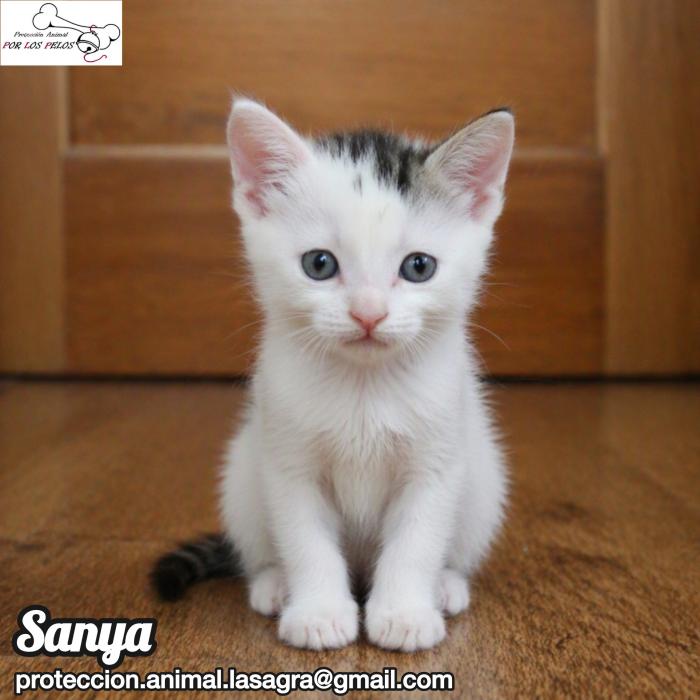 Sanya