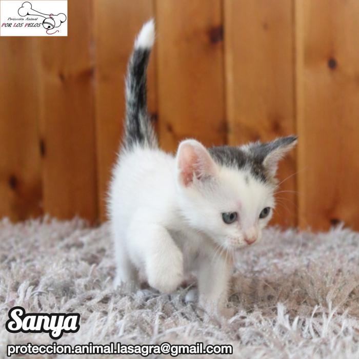 Sanya