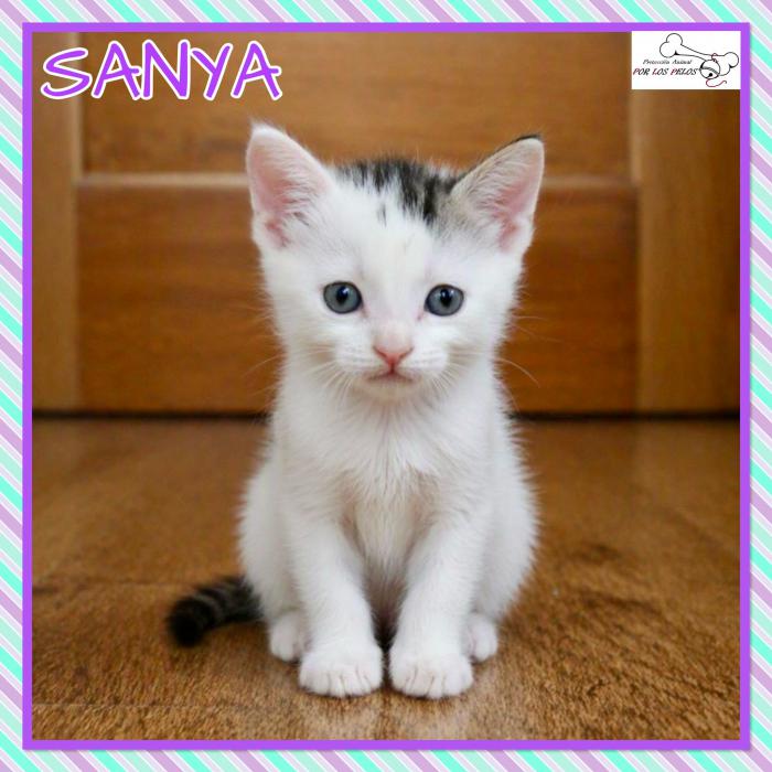 Sanya