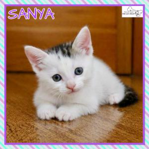 Sanya