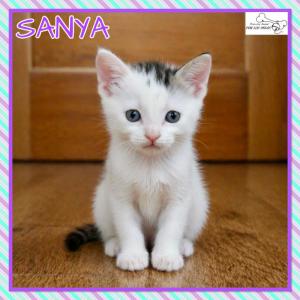 Sanya