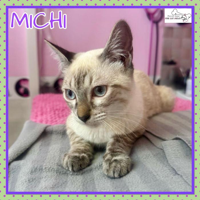 Michi