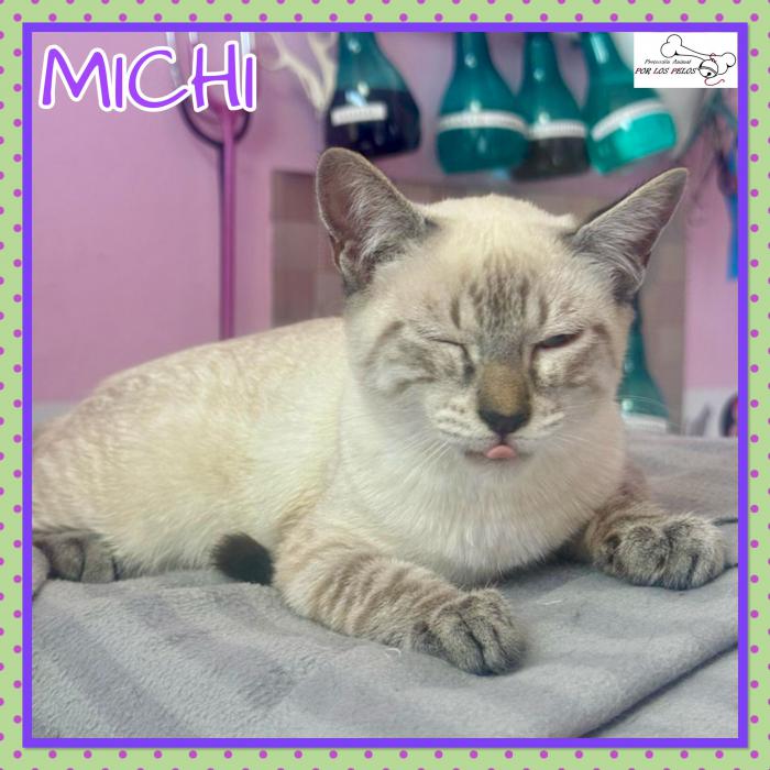 Michi