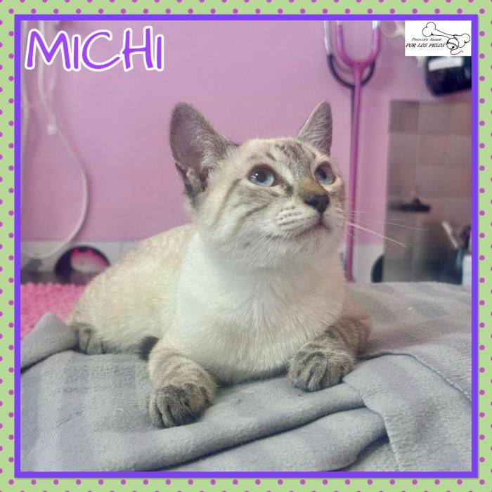 Michi