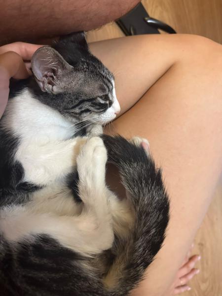 Kiki