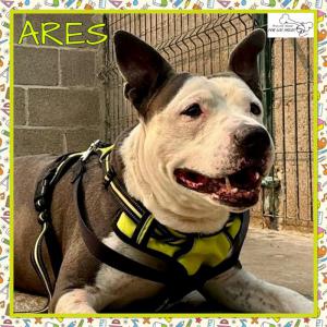 Ares