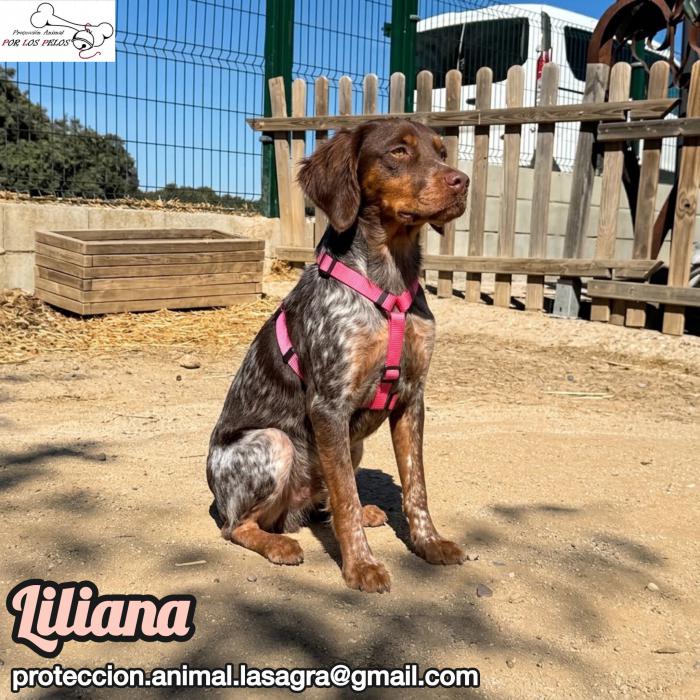 Liliana