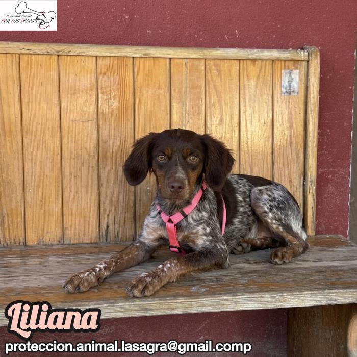 Liliana