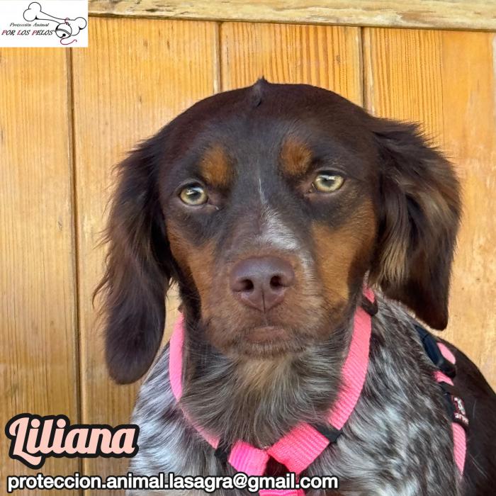 Liliana