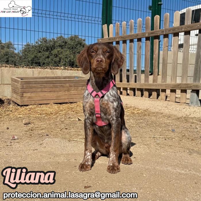 Liliana