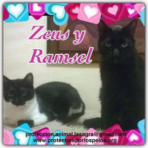 Zeus y Ramsel