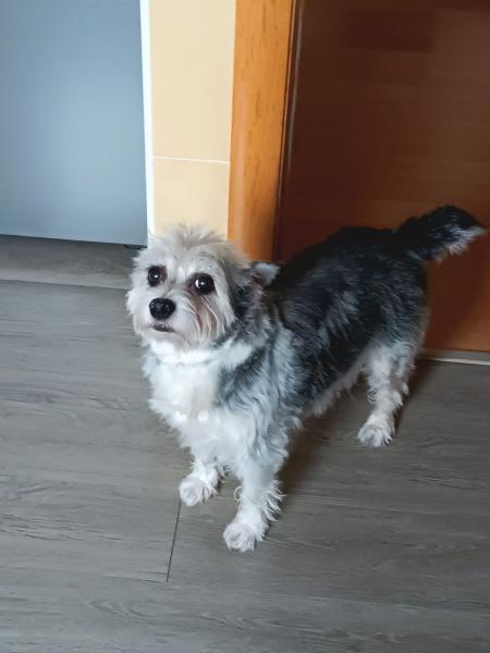 Pepi